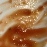 Фото профиля republicabananera