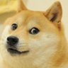 TankerHeinz's profile picture