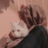 Фото профиля waad