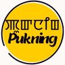 Pukning 的头像