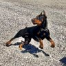 manua's profile picture