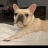 Фото профиля Eric