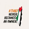 Mariam Saifi 🇵🇸🕊️ 的头像