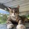 JC Smith profil fotoğrafı