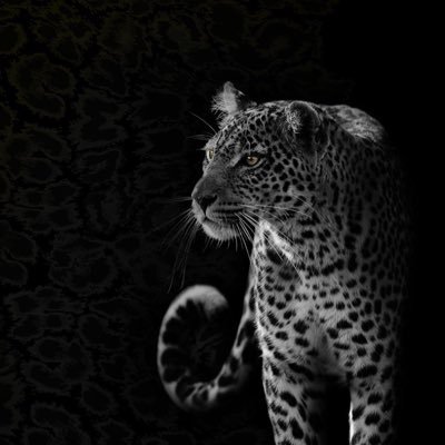 moath_1425_'s profile picture