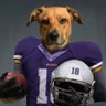 IBMutley's profile picture
