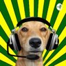 Aron Bado profil fotoğrafı