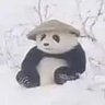Ben Bread 的头像