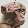 Profilbild von Vativ