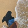 Tity.GEvZ16's profile picture