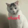 จริงพรี๊ 的头像