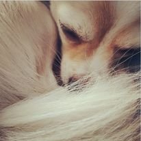Marga2160's profile picture