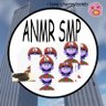 asrykwrsyk's profile picture