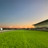 Profilbild von s