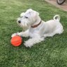 MarcoAEK profil fotoğrafı