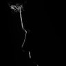 heroe's profile picture