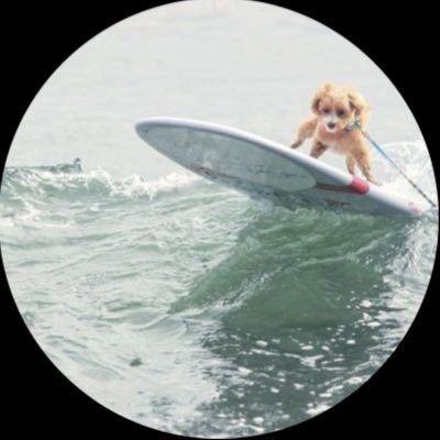 sea☆🧢🐨's profile picture