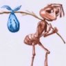 SQUID's profile picture