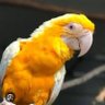 slow...man's profile picture