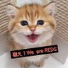 金子うに。赤時々青そして、猫♡ profil fotoğrafı