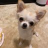 ゆっち's profile picture