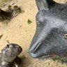 マサオ profil fotoğrafı