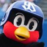ぽんた's profile picture