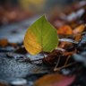 Фото профиля Paul