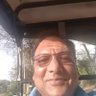 SP jain's profile picture