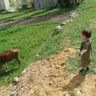 Erdal profil fotoğrafı