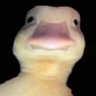 Profilbild von Cosmic ツ