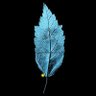 BB's profile picture