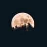 Minuit-1's profile picture