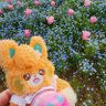 りち✶🌷︎´-'s profile picture
