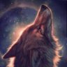 kkon's profile picture