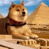 Фото профиля woof Coin