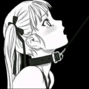 dksr411's profile picture