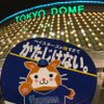 ユメミルの民's profile picture