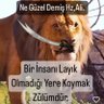 Erhan 的头像