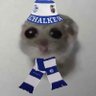 S04 Die Macht's profile picture