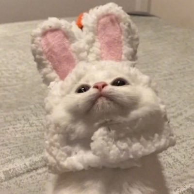 ㅉㄴ⁶⁵'s profile picture