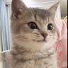 wldxw 的头像