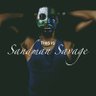 OFFICIAL SANDMAN SAVAGE profil fotoğrafı