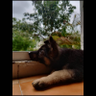 D's profile picture