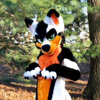 Zephyr_Jackal's profile picture