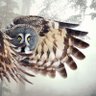 Нетрадиционные патриотические ценности.'s profile picture