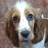 Profilbild von Mary