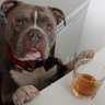 alexander claus's profile picture
