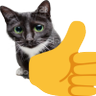ModestCat profil fotoğrafı