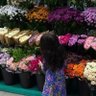 أميرة profil fotoğrafı